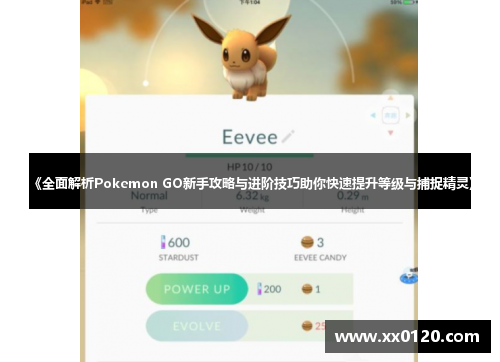 《全面解析Pokemon GO新手攻略与进阶技巧助你快速提升等级与捕捉精灵》